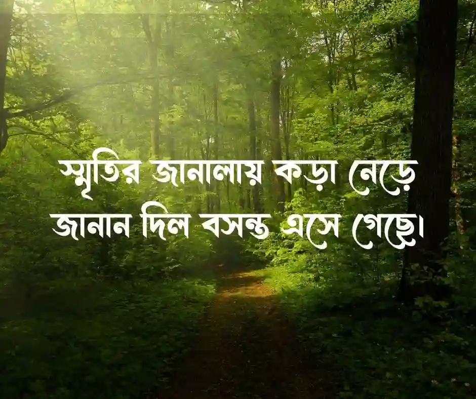 বসন্ত নিয়ে ছোট ক্যাপশন ও স্ট্যাটাস
