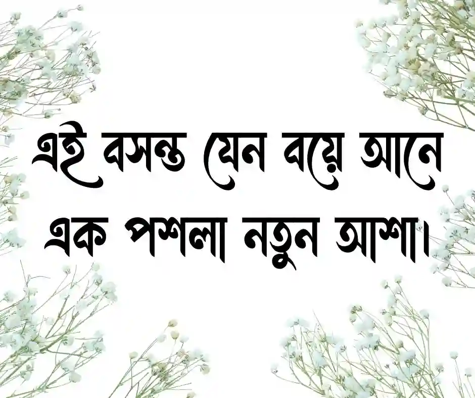 বসন্ত নিয়ে স্ট্যাটাস