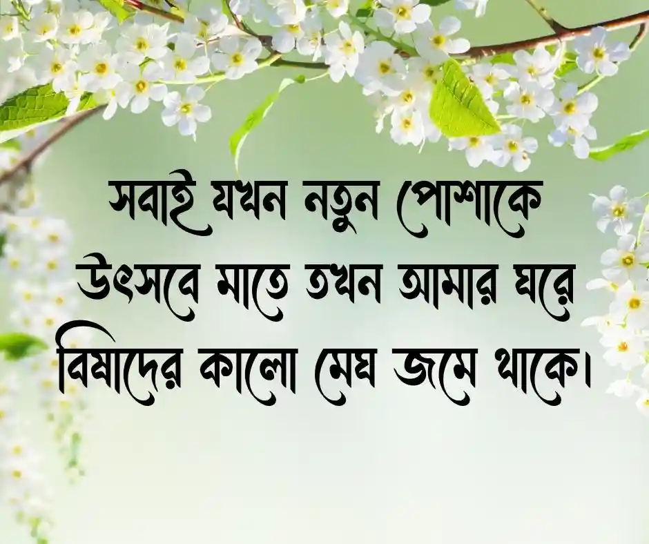 বসন্ত বিলাস নিয়ে ক্যাপশন