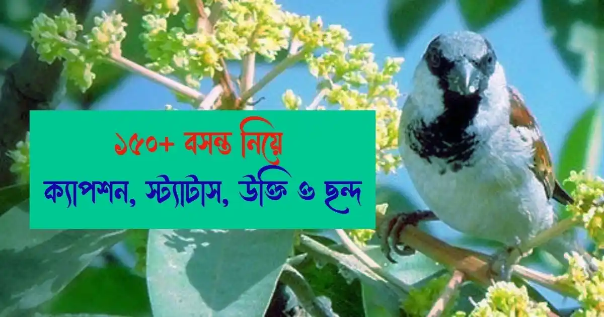 ১৫০+ বসন্ত নিয়ে ক্যাপশন, স্ট্যাটাস, উক্তি ও ছন্দ