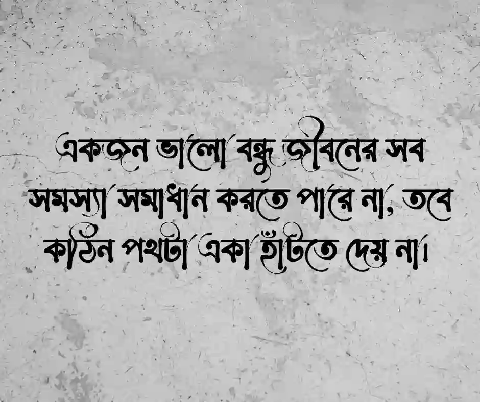 বন্ধু নিয়ে স্ট্যাটাস