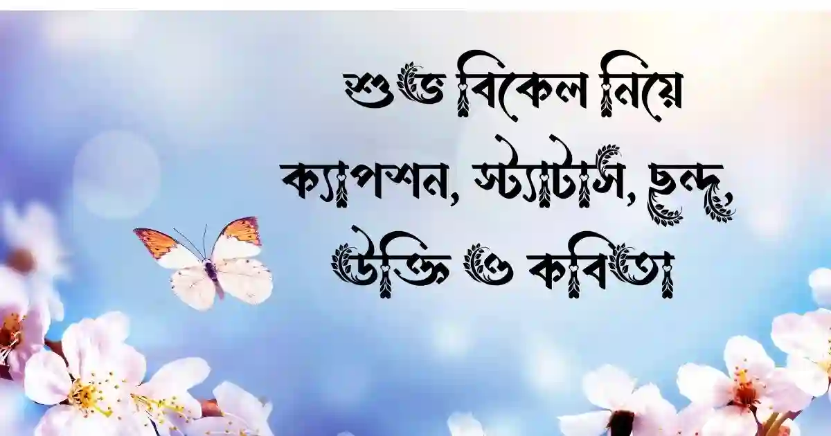 শুভ বিকেল নিয়ে ক্যাপশন, স্ট্যাটাস, ছন্দ, উক্তি ও কবিতা 