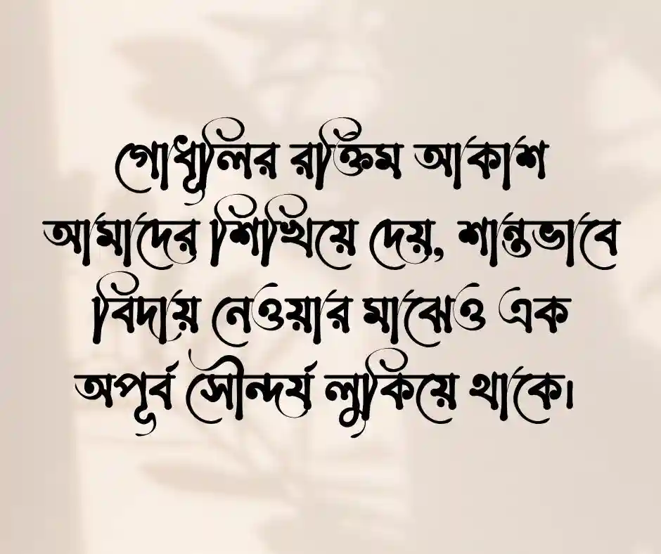 শুভ সন্ধ্যা নিয়ে স্ট্যাটাস