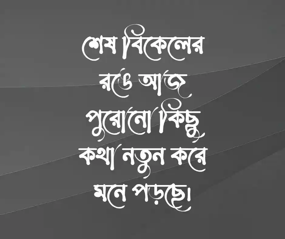শেষ বিকেল নিয়ে ক্যাপশন